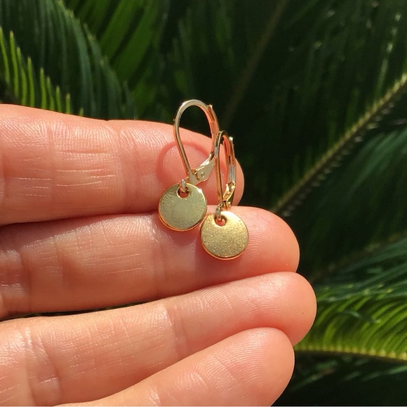 Sundance charm Artisan Disc Earrings - Picture 8 of 9